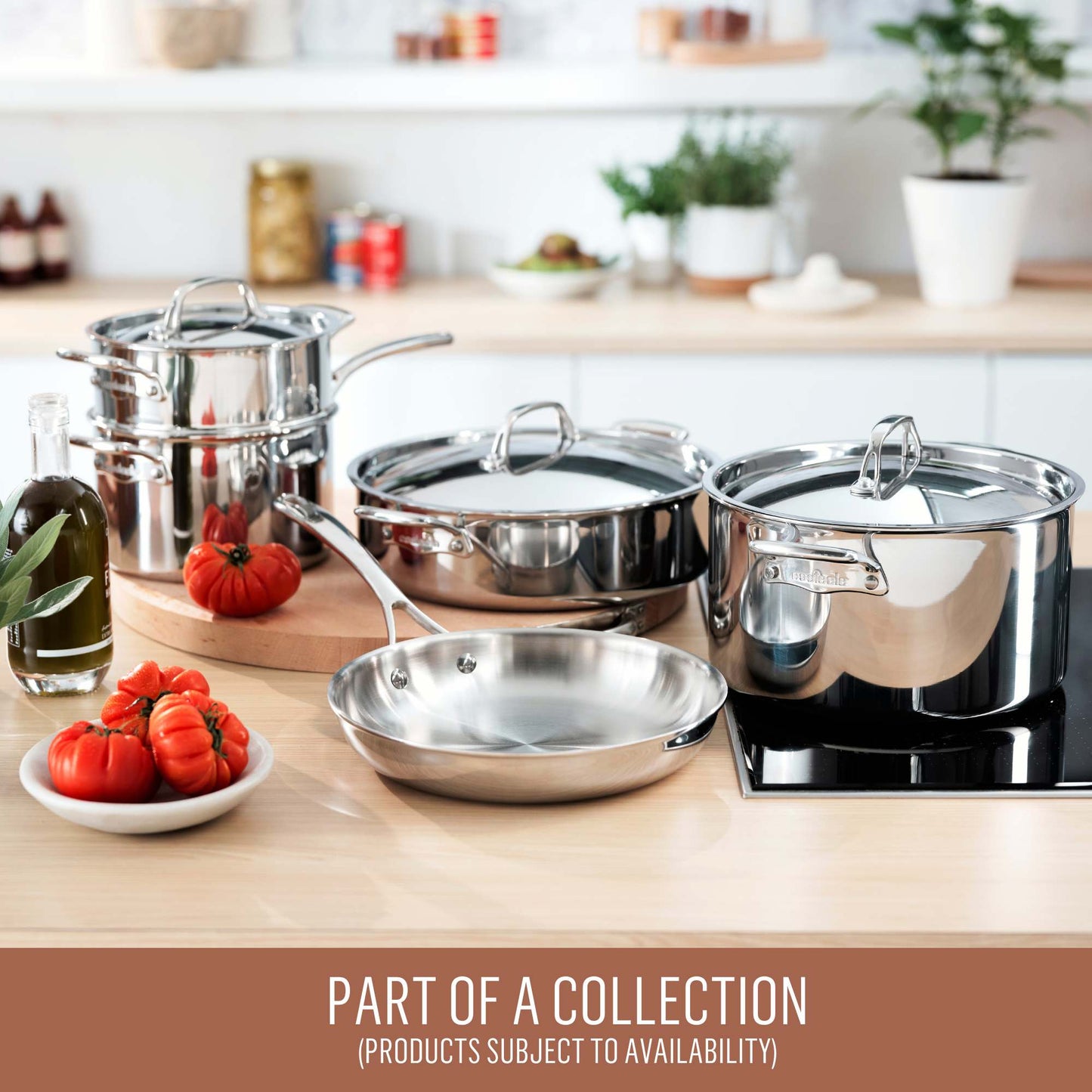 Essteele Eternità Clad Stainless Steel Induction Covered Saucepan 16cm/1.8L