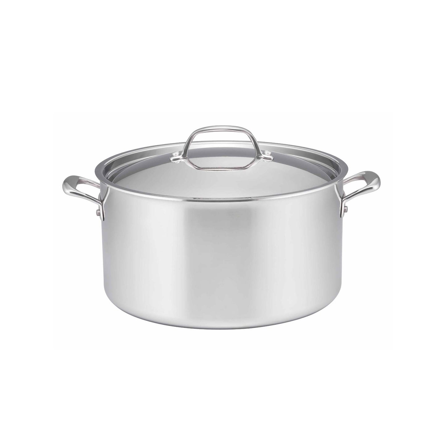 Essteele Eternità Clad Stainless Steel Induction Covered Stockpot 26cm/7.6L